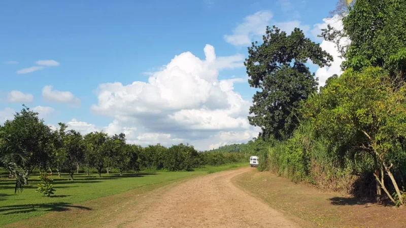 Roads leading towards the ATM cave in Belize