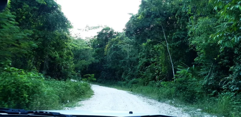 Orange Walk - the road to Chan Chich Lodge. A rough road and not really suitable for a car rental in Belize. 4WD necessary! 