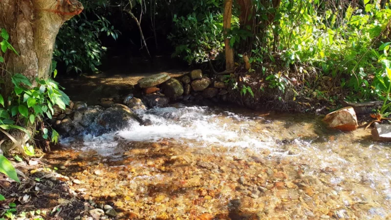 Impromptu river crossing on the roads towards the ATM cave in Belize may be a problem in a rental car with low clearance. 