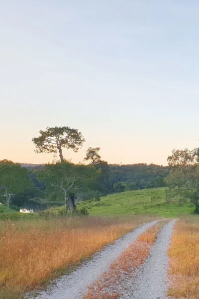 Stetch of gravel road in Belize