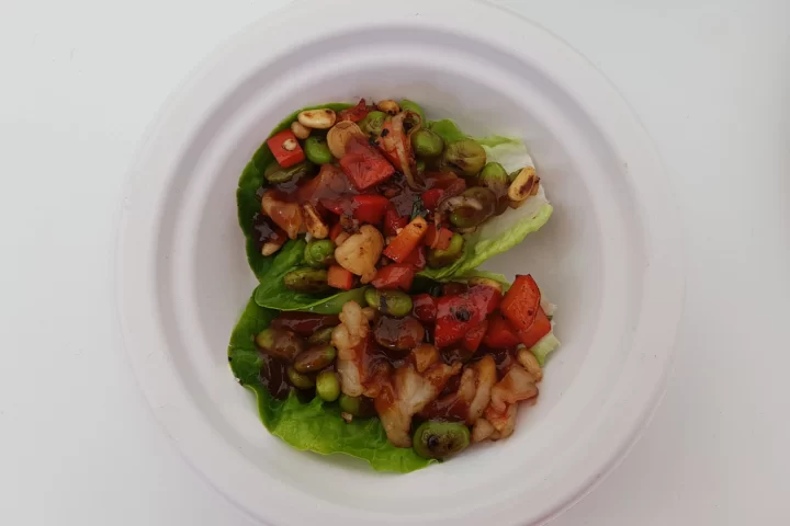 Plate of stir fry that was made at the taste of London food festival