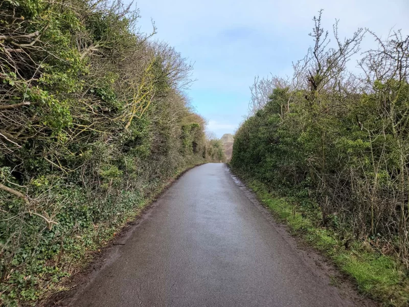 Walking The Cleveland Way path surrounded by green trees on either side