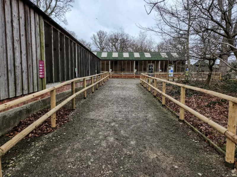 The owl aviaries at the National Centre for Birds of Prey