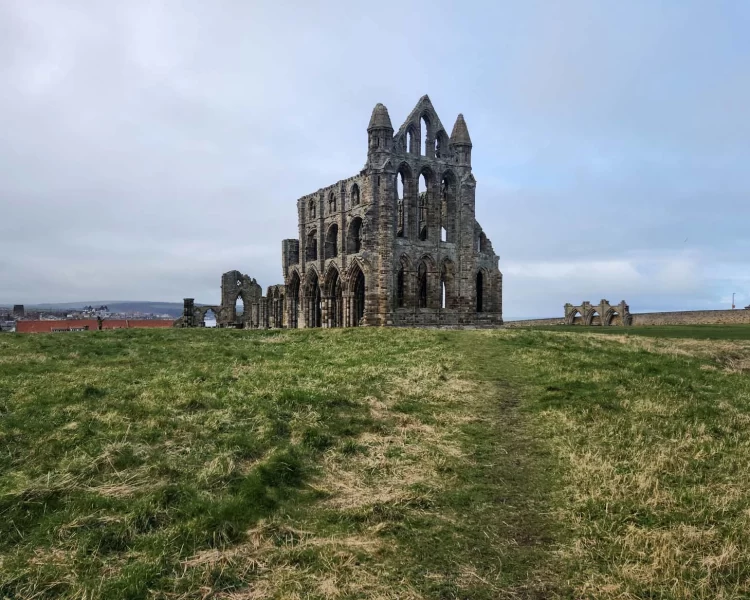 The beautiful and romantic Whitby Abbey on a green field