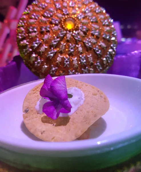 A plate of butter chicken served at Le Petit Chef