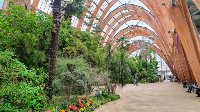 View of greenery under covered walkway